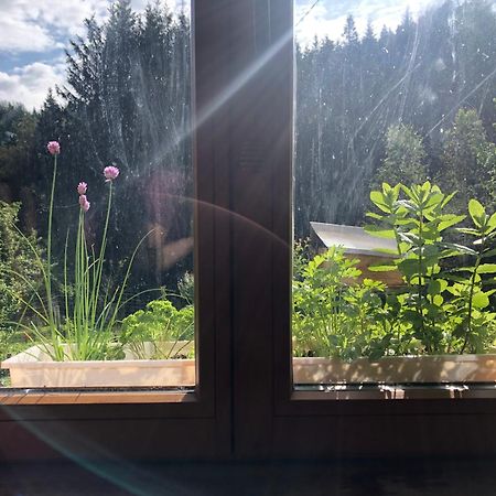 A L'Oree De Soi: Eco-Friendly Forest Retreat in the Vosges Saint-Sauveur  Exterior photo